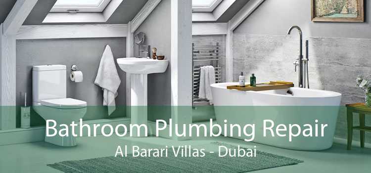 Bathroom Plumbing Repair Al Barari Villas - Dubai