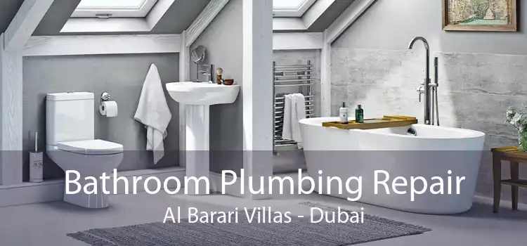 Bathroom Plumbing Repair Al Barari Villas - Dubai