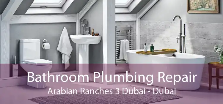 Bathroom Plumbing Repair Arabian Ranches 3 Dubai - Dubai