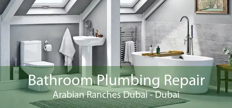 Bathroom Plumbing Repair Arabian Ranches Dubai - Dubai