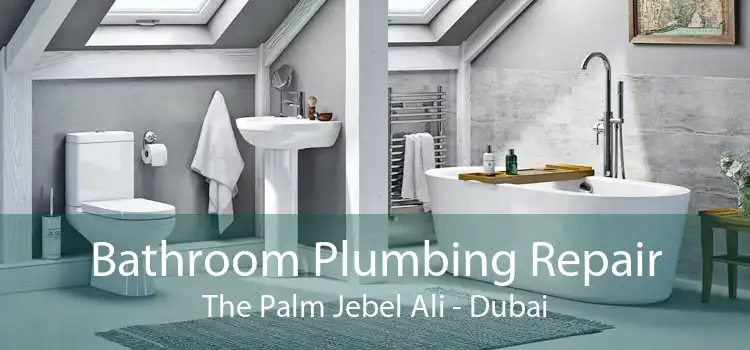 Bathroom Plumbing Repair The Palm Jebel Ali - Dubai
