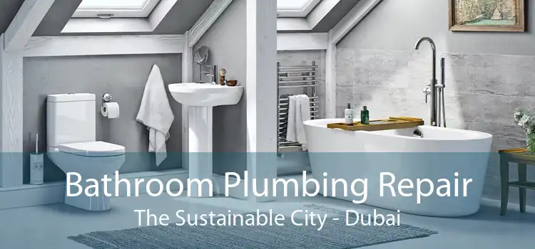 Bathroom Plumbing Repair The Sustainable City - Dubai