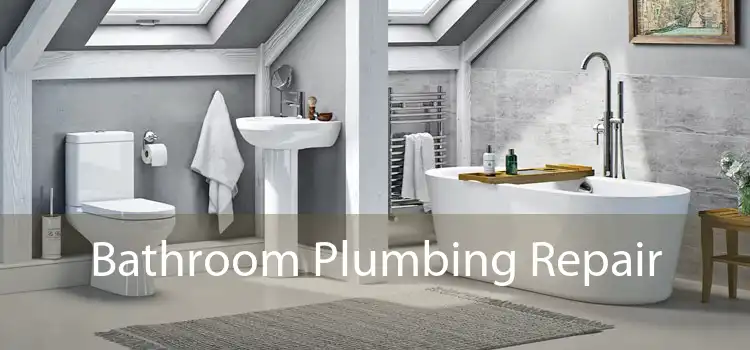 Bathroom Plumbing Repair 