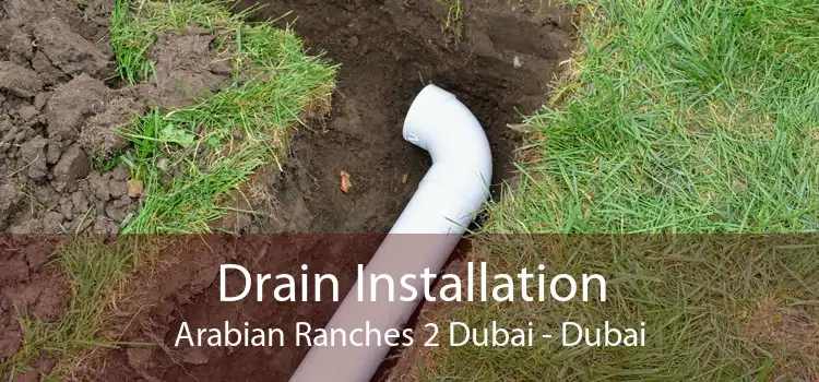 Drain Installation Arabian Ranches 2 Dubai - Dubai