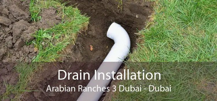 Drain Installation Arabian Ranches 3 Dubai - Dubai