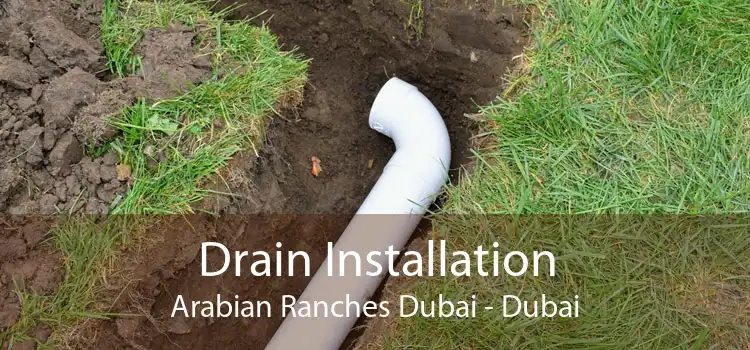 Drain Installation Arabian Ranches Dubai - Dubai