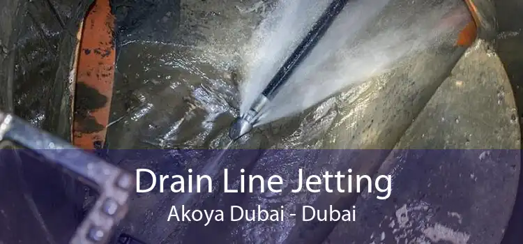 Drain Line Jetting Akoya Dubai - Dubai