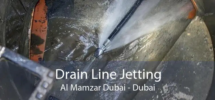Drain Line Jetting Al Mamzar Dubai - Dubai