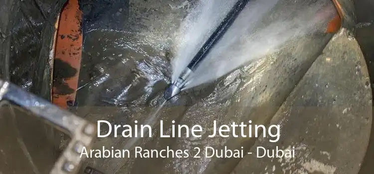 Drain Line Jetting Arabian Ranches 2 Dubai - Dubai