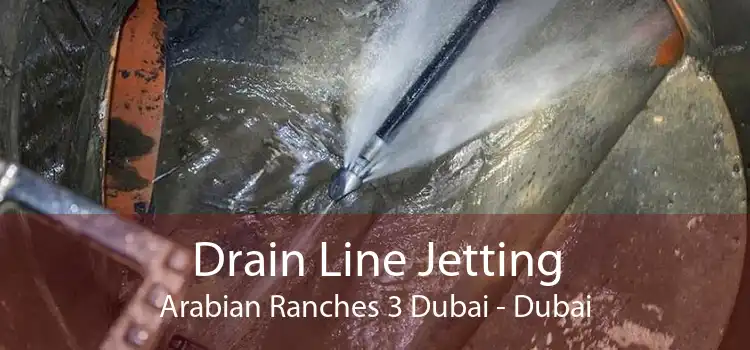 Drain Line Jetting Arabian Ranches 3 Dubai - Dubai