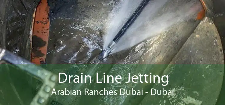 Drain Line Jetting Arabian Ranches Dubai - Dubai