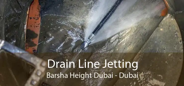 Drain Line Jetting Barsha Height Dubai - Dubai