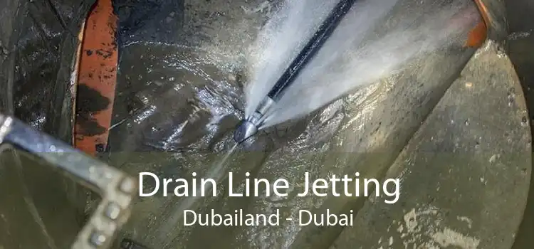 Drain Line Jetting Dubailand - Dubai