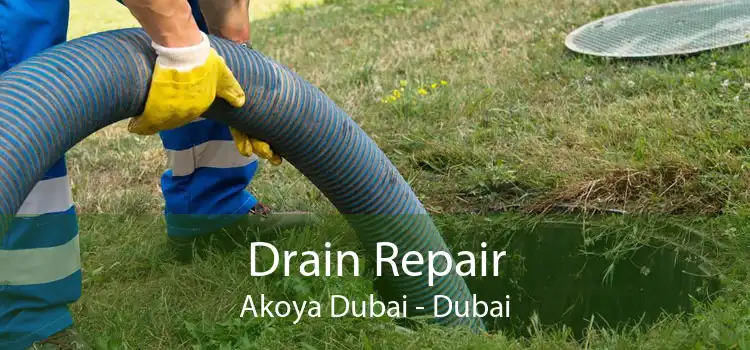 Drain Repair Akoya Dubai - Dubai