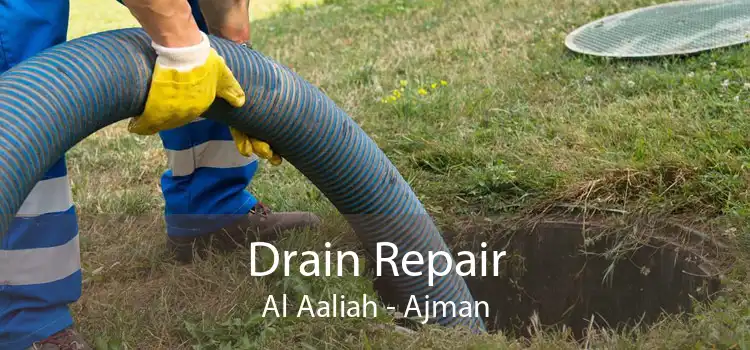 Drain Repair Al Aaliah - Ajman