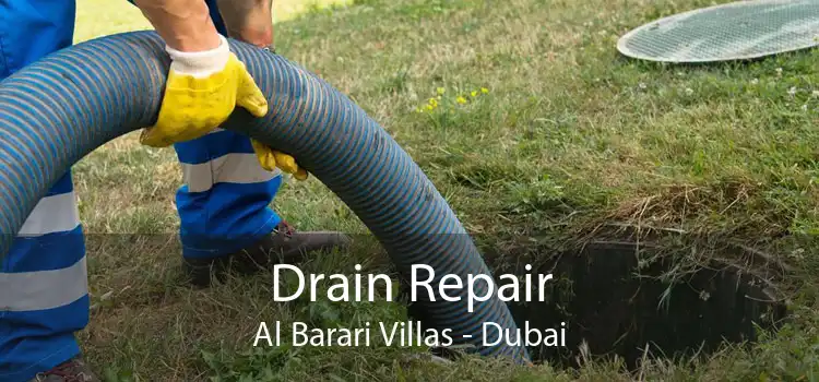 Drain Repair Al Barari Villas - Dubai