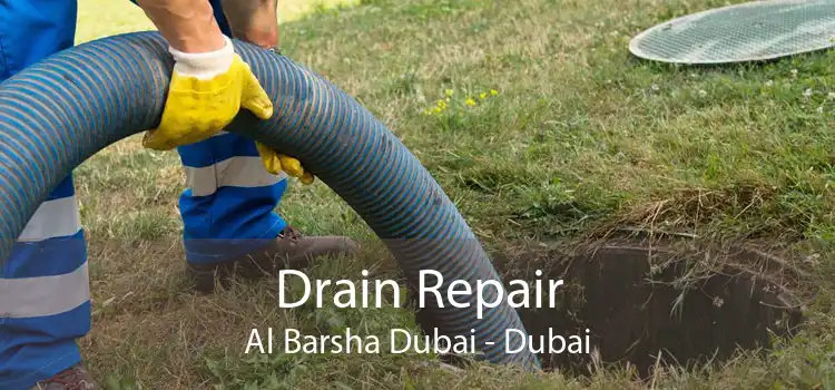 Drain Repair Al Barsha Dubai - Dubai