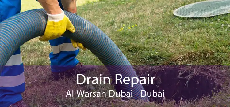 Drain Repair Al Warsan Dubai - Dubai