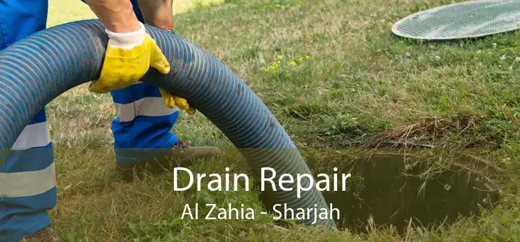 Drain Repair Al Zahia - Sharjah