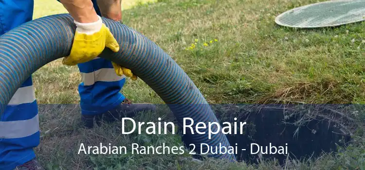 Drain Repair Arabian Ranches 2 Dubai - Dubai
