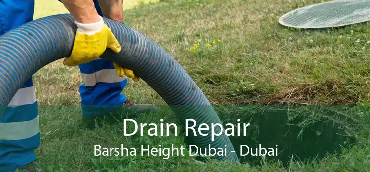 Drain Repair Barsha Height Dubai - Dubai
