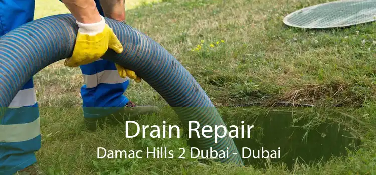 Drain Repair Damac Hills 2 Dubai - Dubai