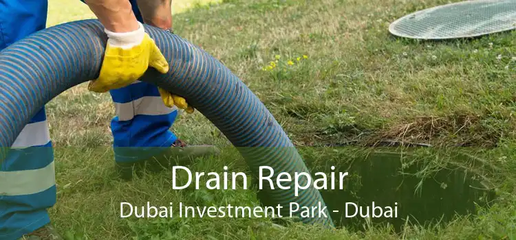 Drain Repair Dubai Investment Park - Dubai