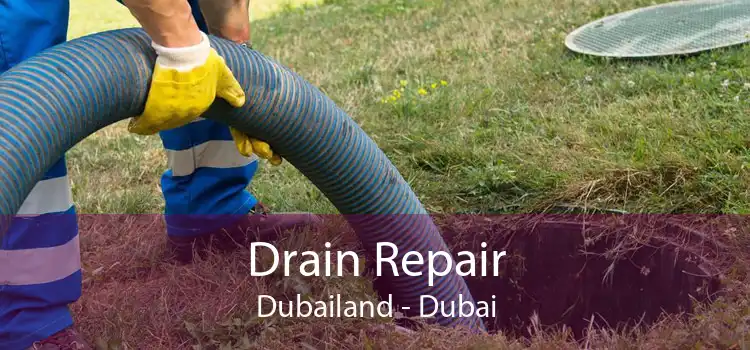 Drain Repair Dubailand - Dubai