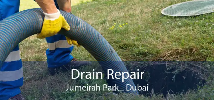 Drain Repair Jumeirah Park - Dubai