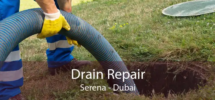 Drain Repair Serena - Dubai