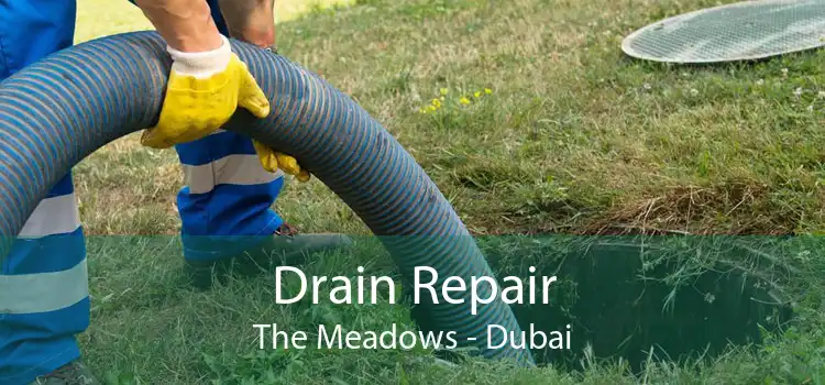 Drain Repair The Meadows - Dubai