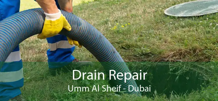 Drain Repair Umm Al Sheif - Dubai