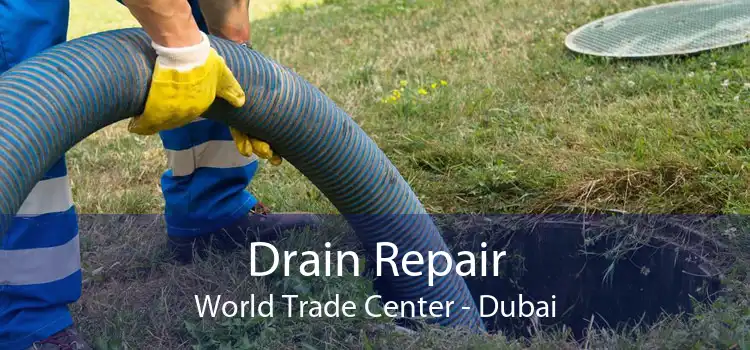 Drain Repair World Trade Center - Dubai