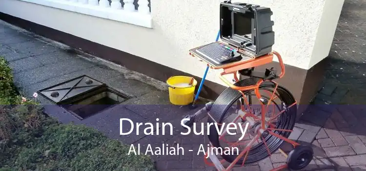 Drain Survey Al Aaliah - Ajman