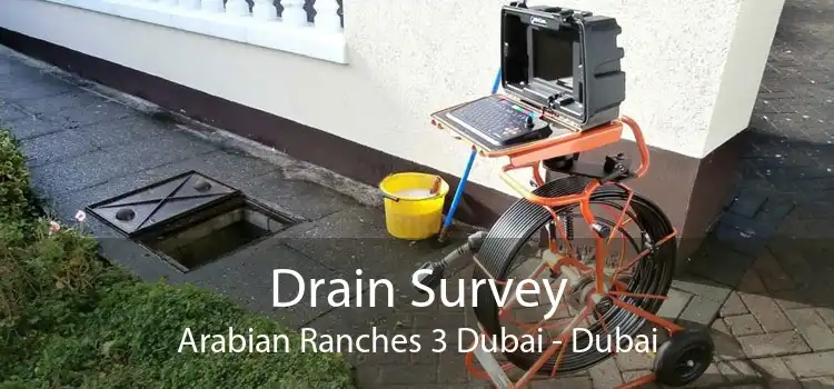 Drain Survey Arabian Ranches 3 Dubai - Dubai