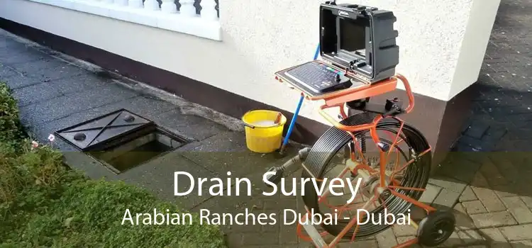 Drain Survey Arabian Ranches Dubai - Dubai