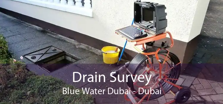 Drain Survey Blue Water Dubai - Dubai