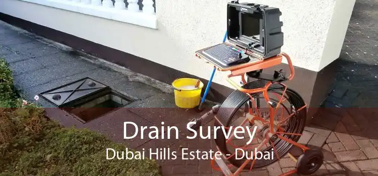 Drain Survey Dubai Hills Estate - Dubai