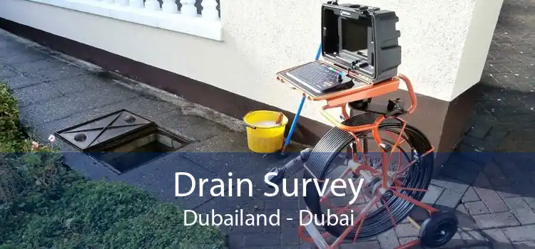 Drain Survey Dubailand - Dubai