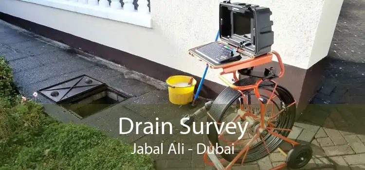 Drain Survey Jabal Ali - Dubai
