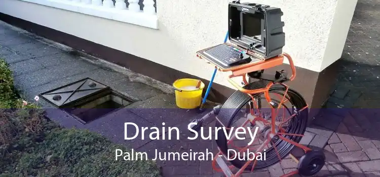 Drain Survey Palm Jumeirah - Dubai