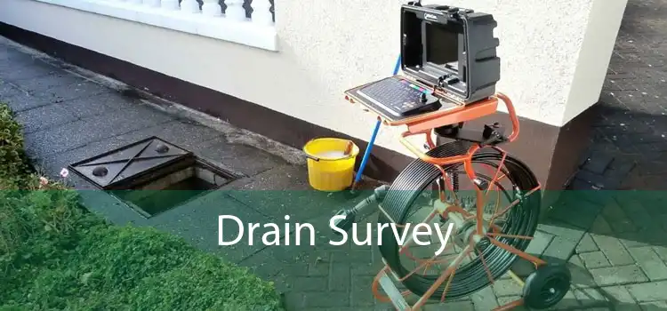 Drain Survey 
