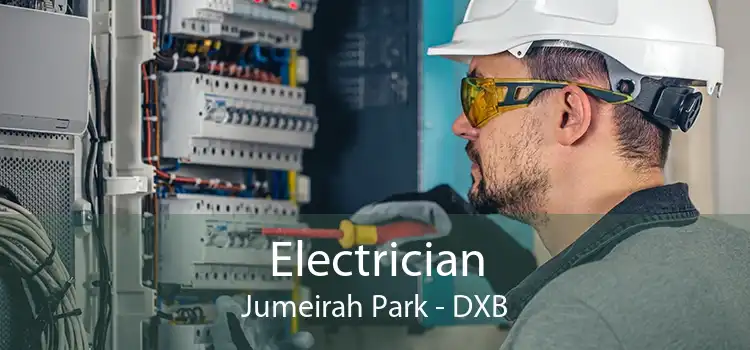  Electrician Jumeirah Park - DXB