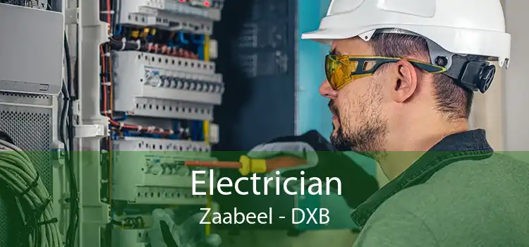 Electrician Zaabeel - DXB