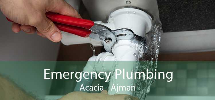 Emergency Plumbing Acacia - Ajman
