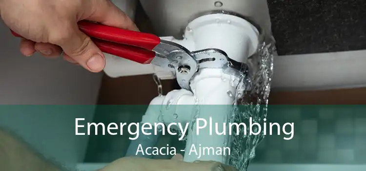 Emergency Plumbing Acacia - Ajman