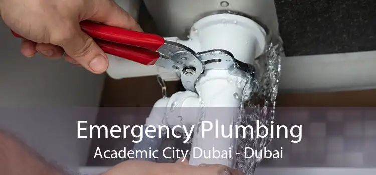 Emergency Plumbing Academic City Dubai - Dubai