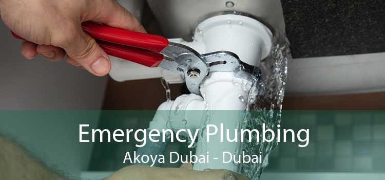 Emergency Plumbing Akoya Dubai - Dubai