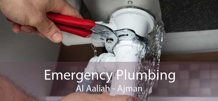 Emergency Plumbing Al Aaliah - Ajman