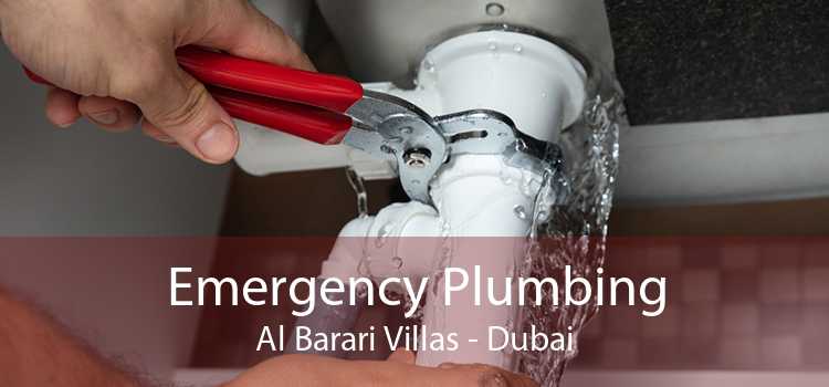 Emergency Plumbing Al Barari Villas - Dubai